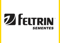 FELTRIN
